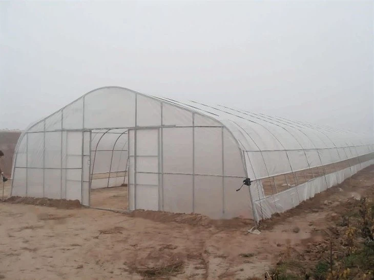 Tunnel Greenhouse 1.4