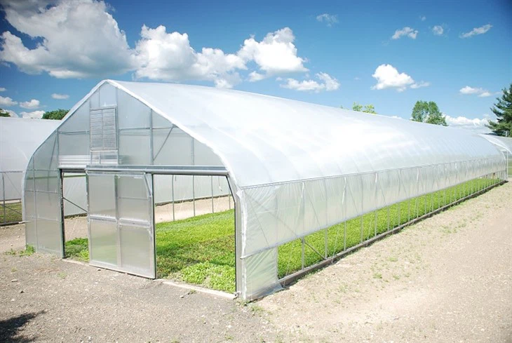 Tunnel Greenhouse 1.2