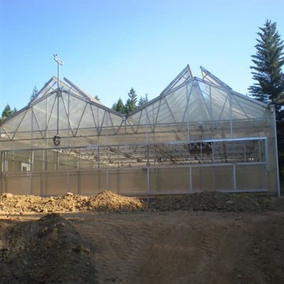 黒シェードクロス農業温室