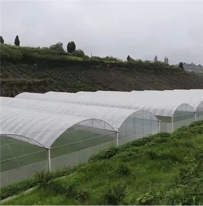 ゴシックアーチ温室