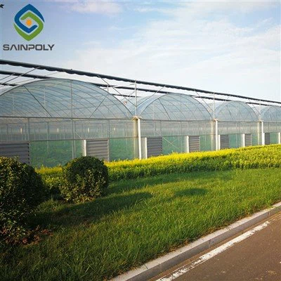 紫外線プラスチック 200 ミクロンの農業温室