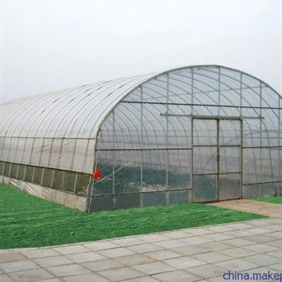 野菜トンネル温室